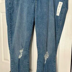 Women's Plus Size Blue Jeans - Levi’s High Rise Skinny